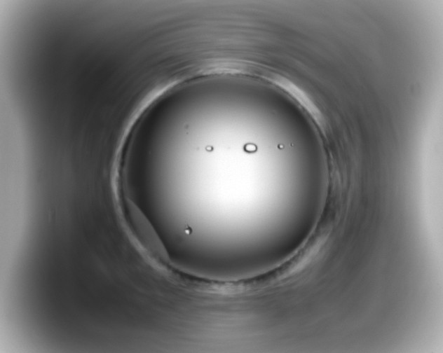 X0000099940901200805231249