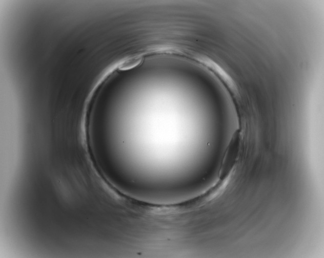 X0000099940902200805231249