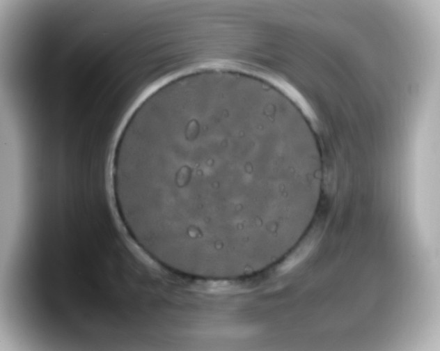 X0000099940903200805231249