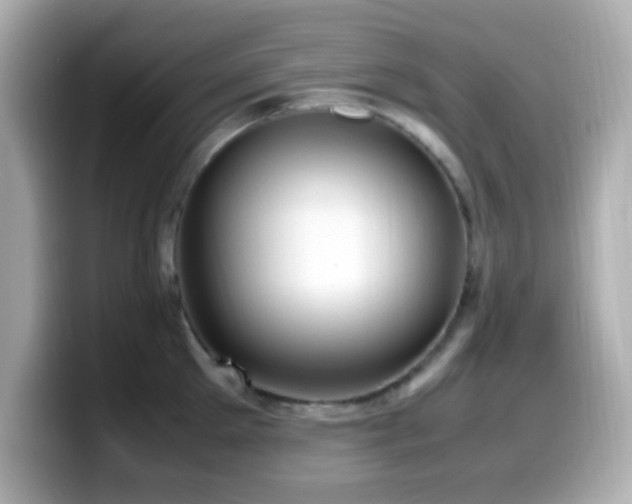 X0000099940905200805231249