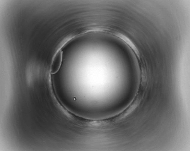 X0000099940906200805231249