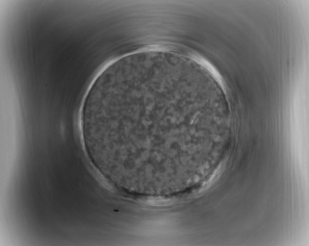 X0000099940907200805231249