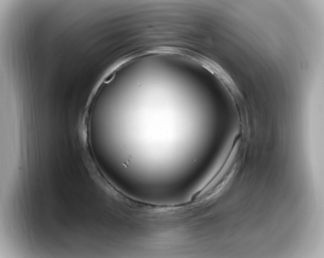 X0000099940908200805231249