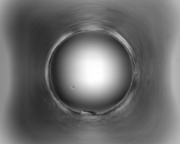 X0000099940909200805231249