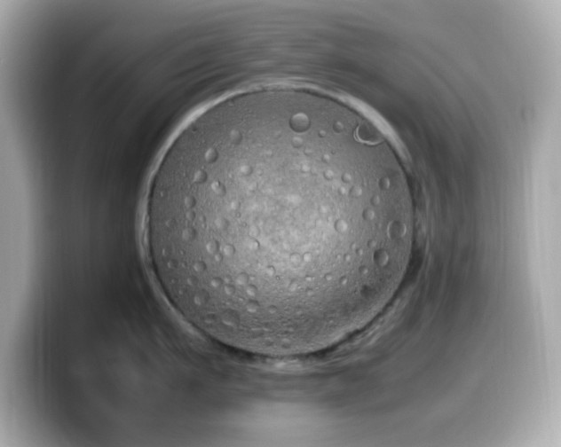 X0000099940911200805231249