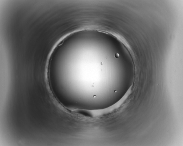 X0000099940912200805231249