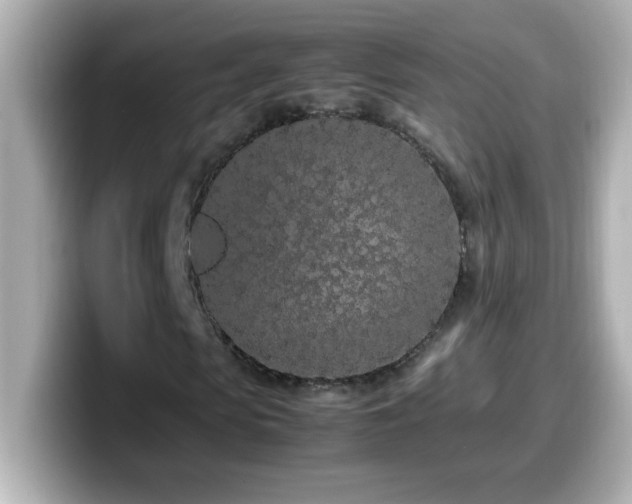 X0000099940913200805231248