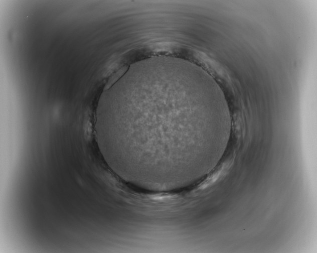 X0000099940916200805231248