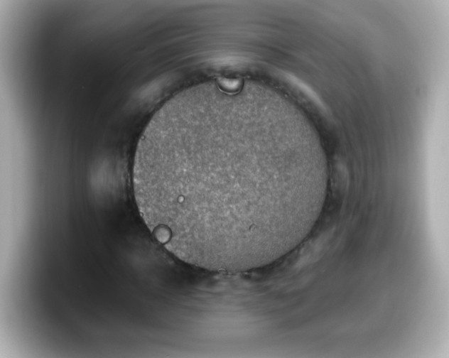 X0000099940918200805231248