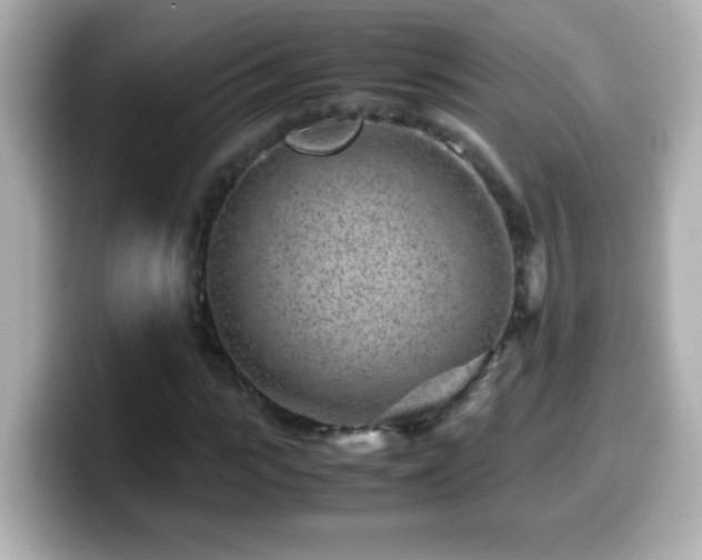 X0000099940919200805231248