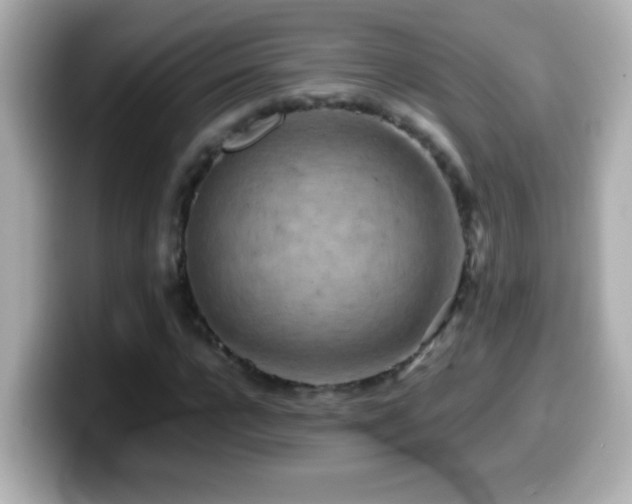 X0000099940920200805231248