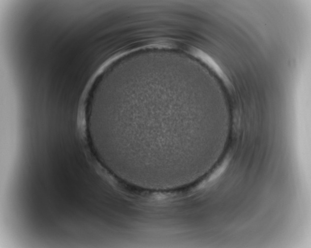 X0000099940923200805231248