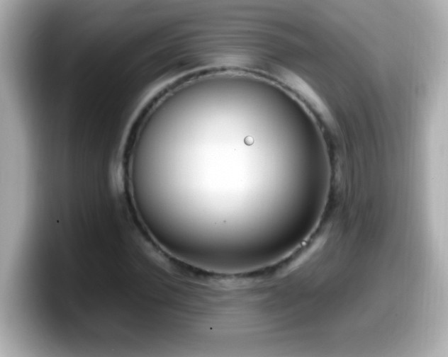 X0000099940924200805231248