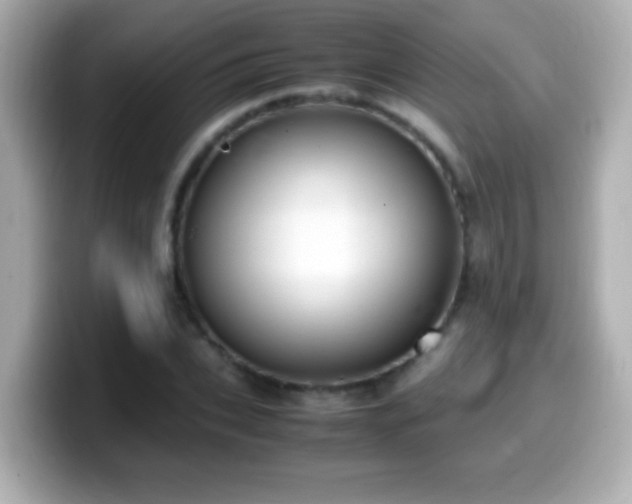 X0000099940927200805231248