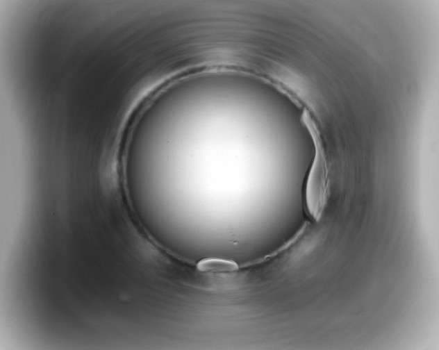 X0000099940928200805231248