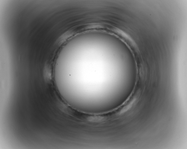 X0000099940929200805231248
