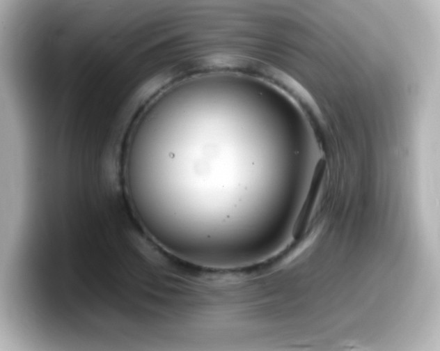 X0000099940930200805231248