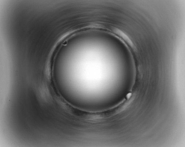 X0000099940931200805231248