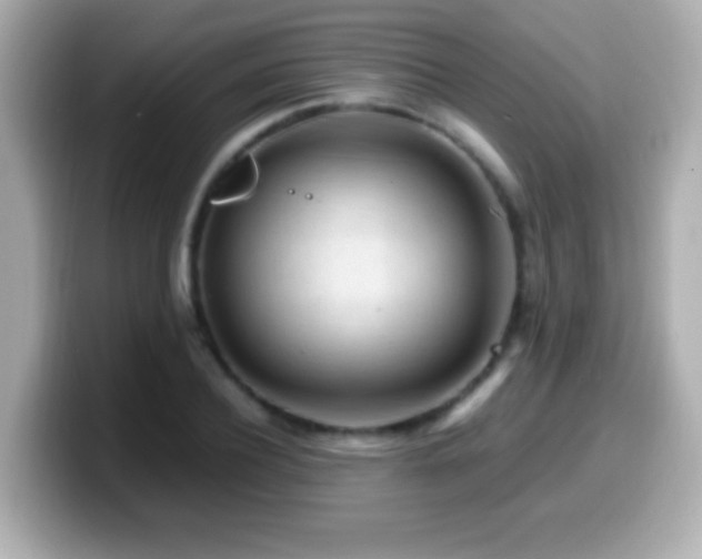X0000099940932200805231248