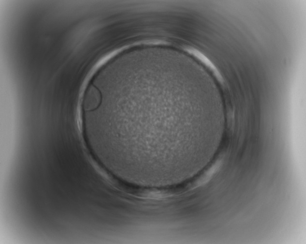 X0000099940935200805231248