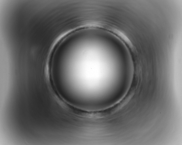 X0000099940936200805231248