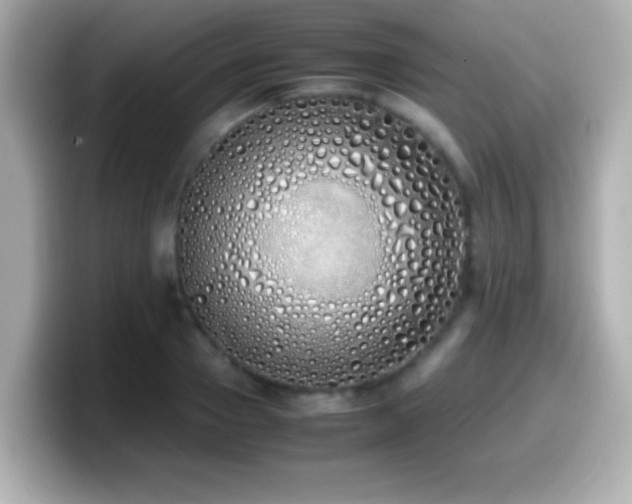 X0000099940937200805231248