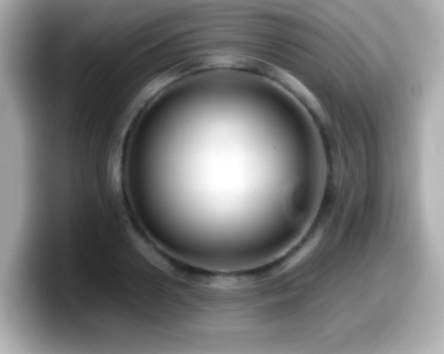 X0000099940938200805231248