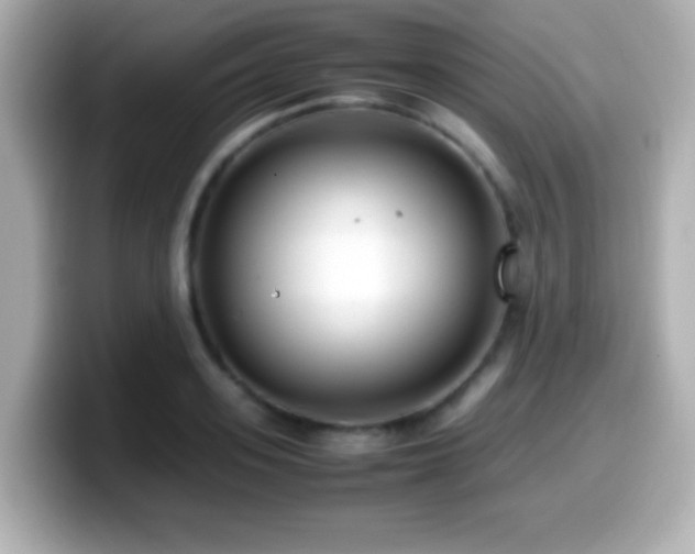 X0000099940939200805231248
