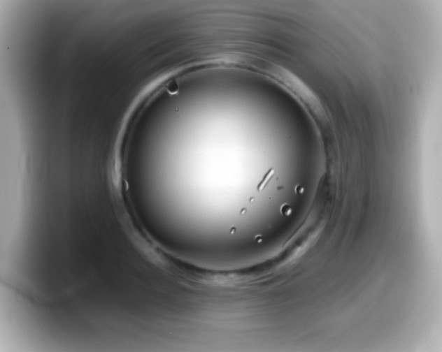 X0000099940940200805231248