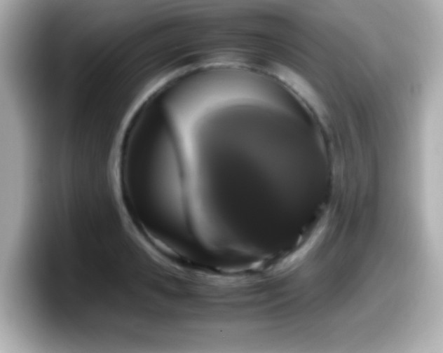 X0000099940941200805231248