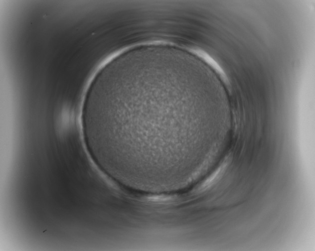 X0000099940943200805231248