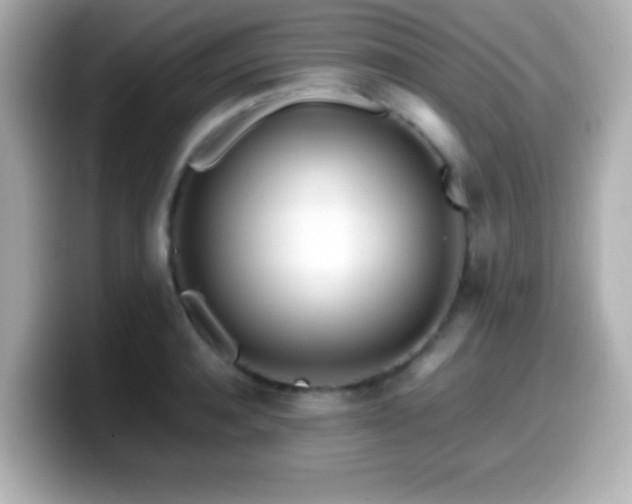X0000099940944200805231248