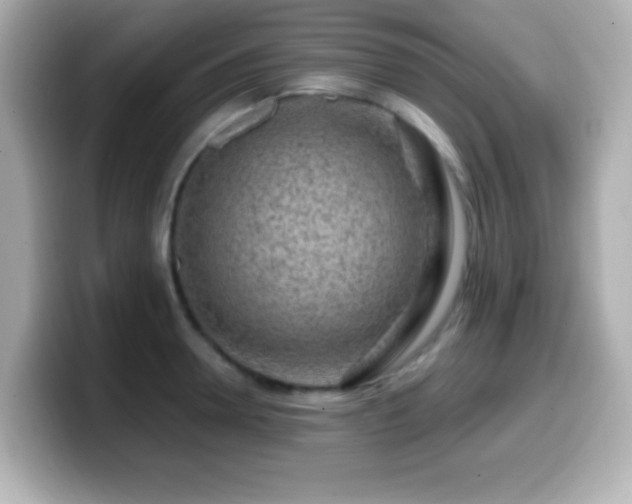 X0000099940946200805231248