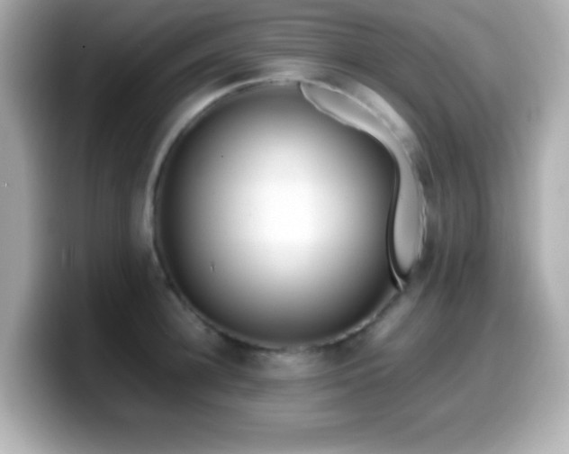 X0000099940948200805231248