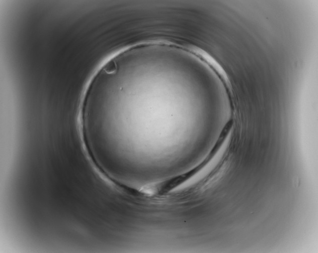 X0000099940951200805231249