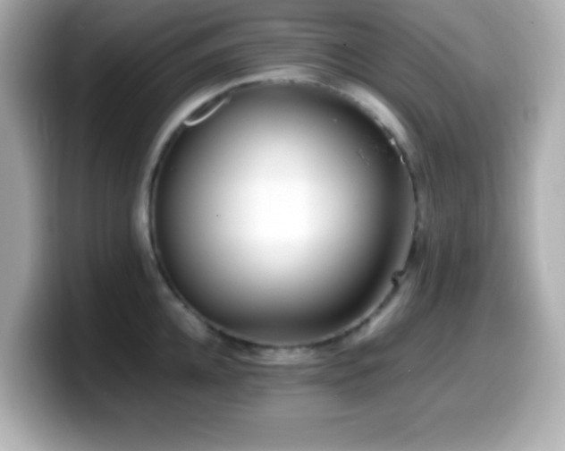 X0000099940952200805231249