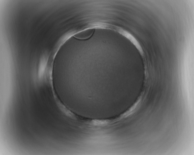 X0000099940954200805231249