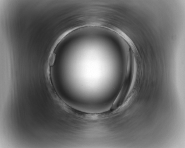 X0000099940956200805231249