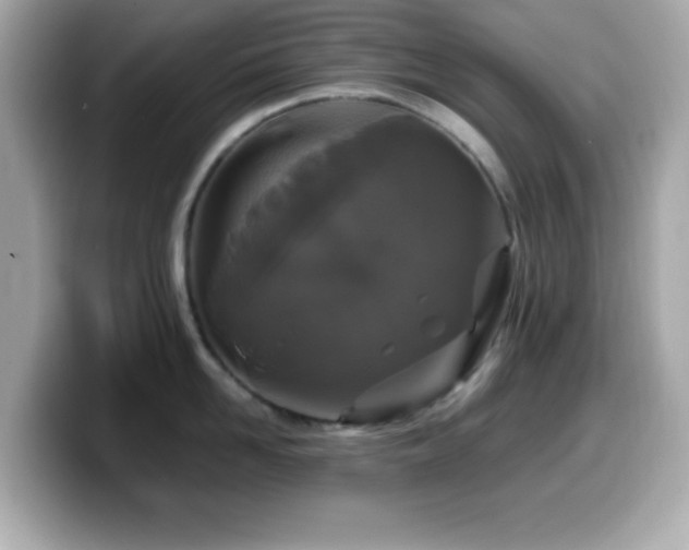 X0000099940958200805231249
