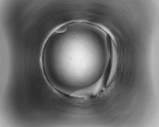 X0000099940959200805231249