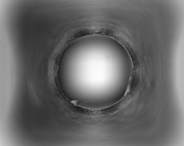 X0000099940961200805231248
