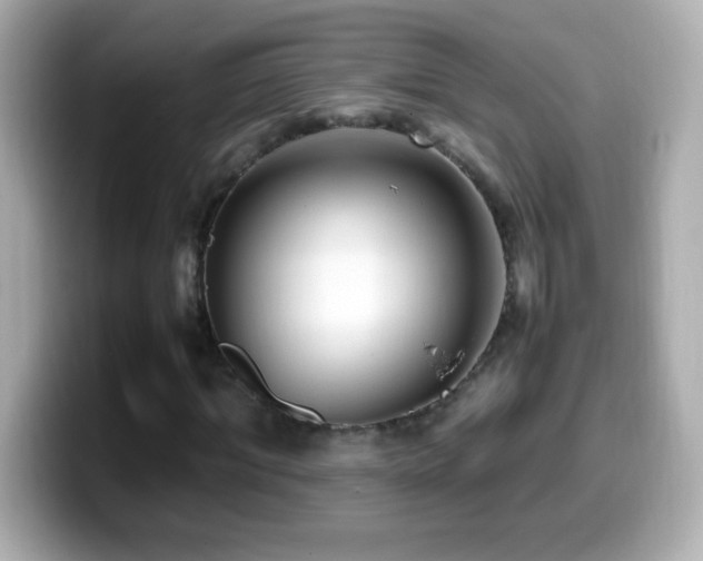 X0000099940964200805231248