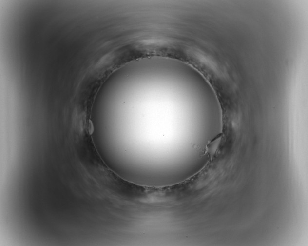 X0000099940965200805231248