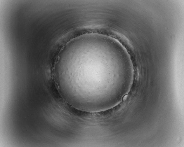 X0000099940966200805231248