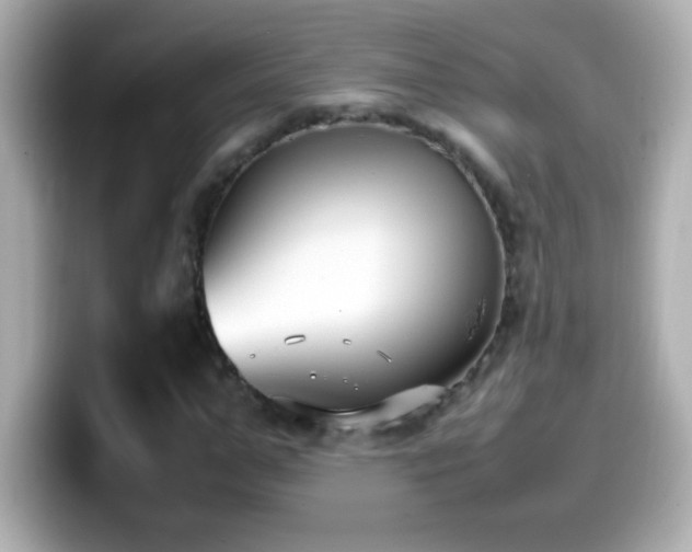 X0000099940967200805231248
