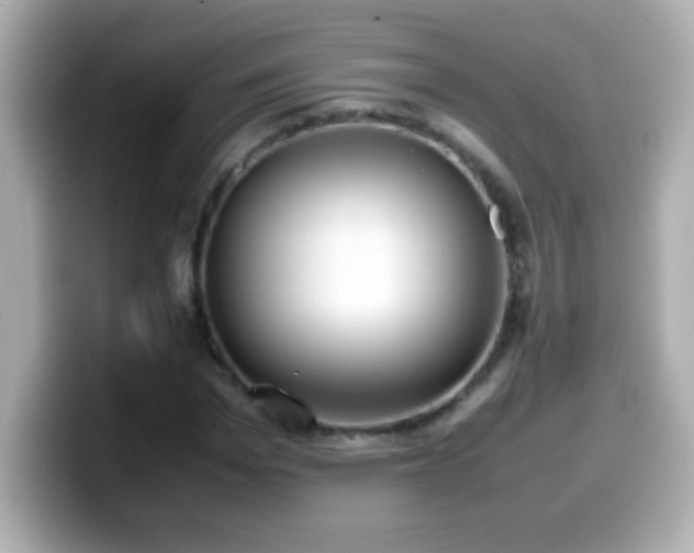 X0000099940969200805231248