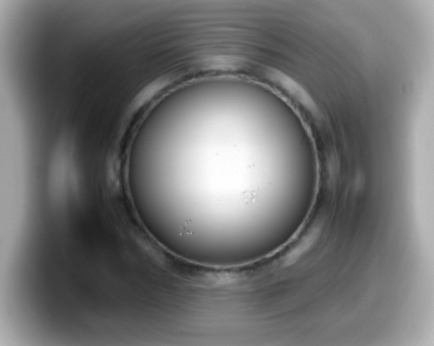 X0000099940970200805231248