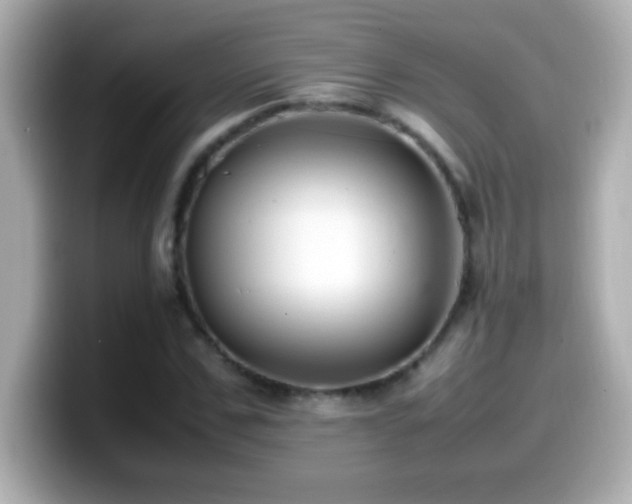 X0000099940971200805231248