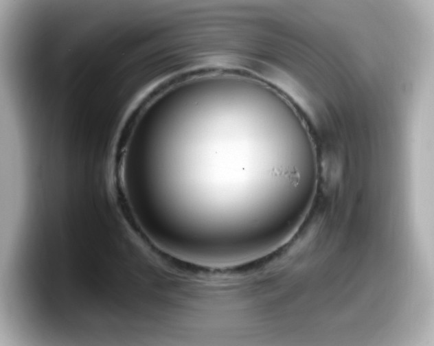 X0000099940972200805231248