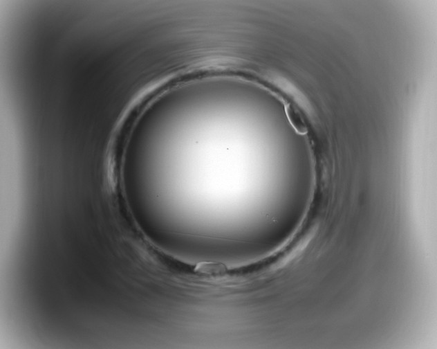 X0000099940973200805231248